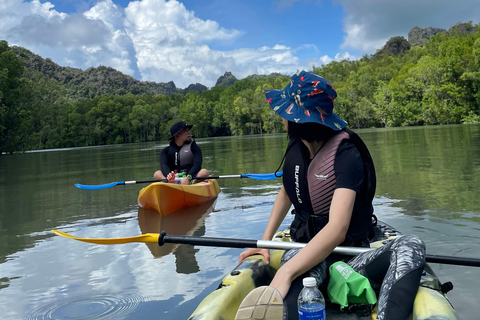 Langkawi: Aventura en kayak por los manglares de Kilim Karst