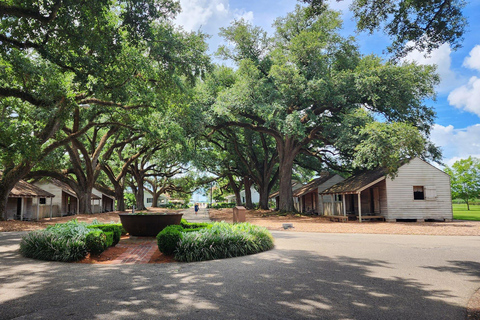 New Orleans: Oak Alley Plantation Halve Dag Tour