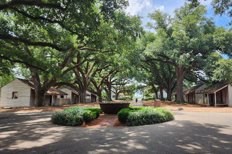 New Orleans: Oak Alley Plantation Halve Dag Tour