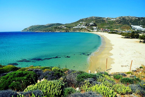 Private Tour: Customize Your Perfect Day in Mykonos