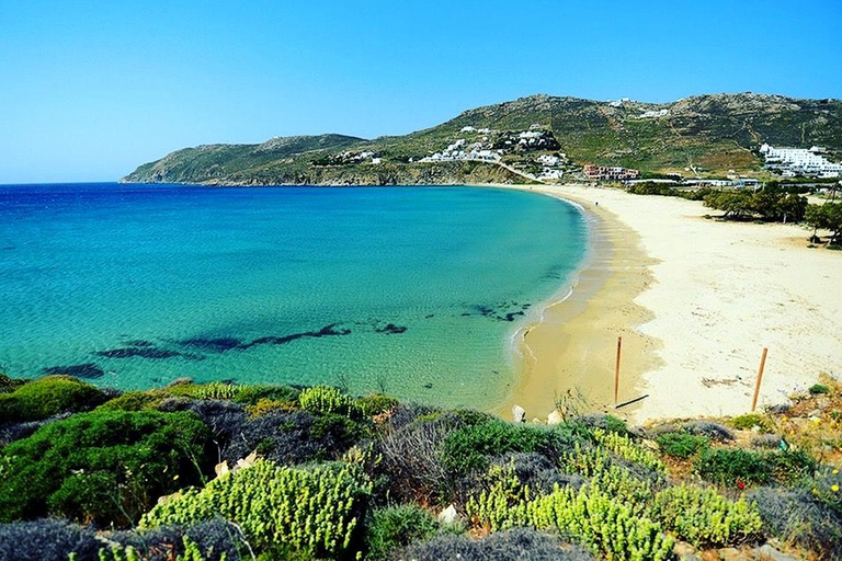 Private Tour: Customize Your Perfect Day in Mykonos