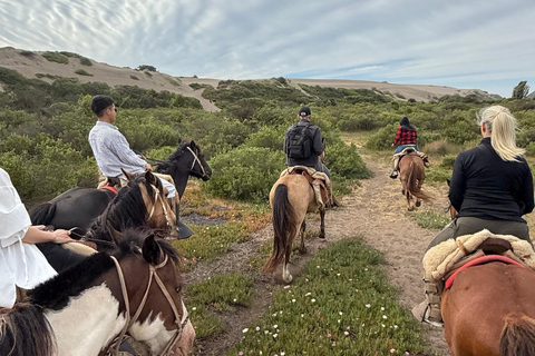 Vineyard, Valparaiso, Horseback Riding, Sea L &amp; BBQ Day Trip