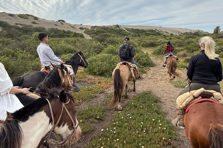 Vineyard, Valparaiso, Horseback Riding, Sea L &amp; BBQ Day Trip