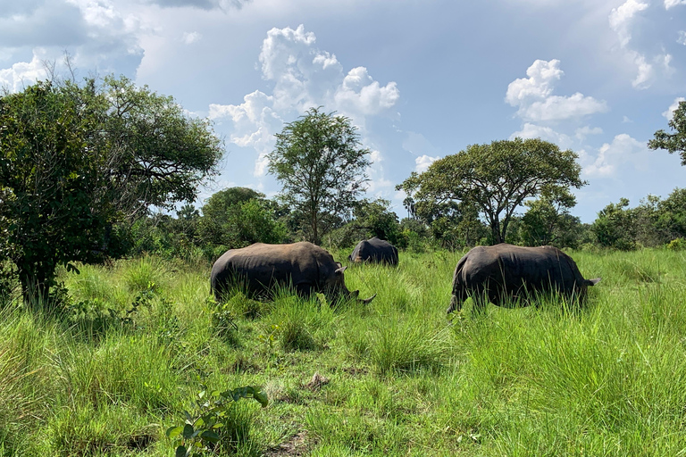 恩德培/坎帕拉：默奇森瀑布和齐瓦犀牛两日游
