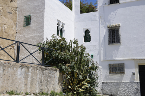 Casablanca Jewish Heritage Private Tour