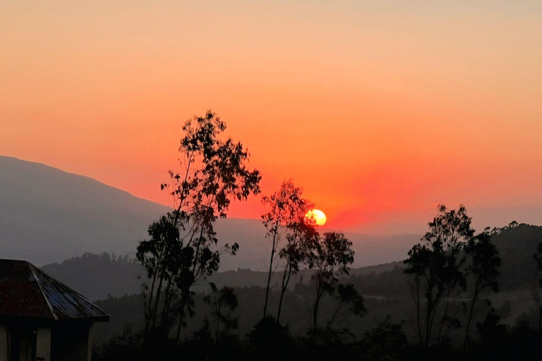 Addis Ababa: Wild Hyenas, Forest Hike & Sunset Experience