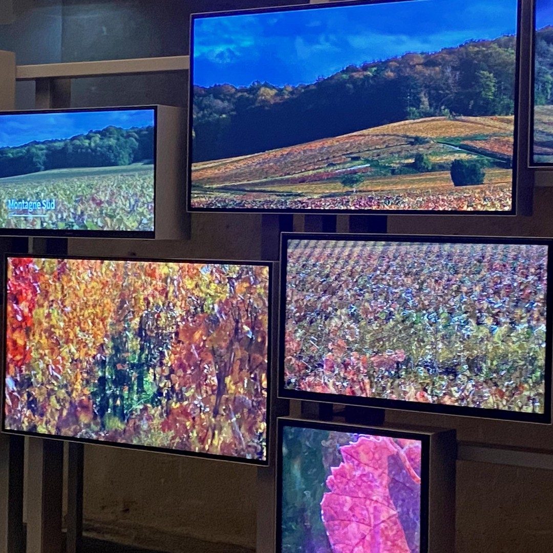 Media collage