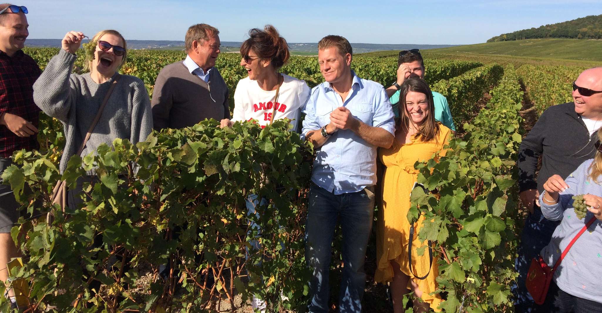 From Reims/Epernay: Champagne half-day tour (small group) photo 1