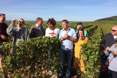 From Reims/Epernay: Champagne half-day tour (small group)
