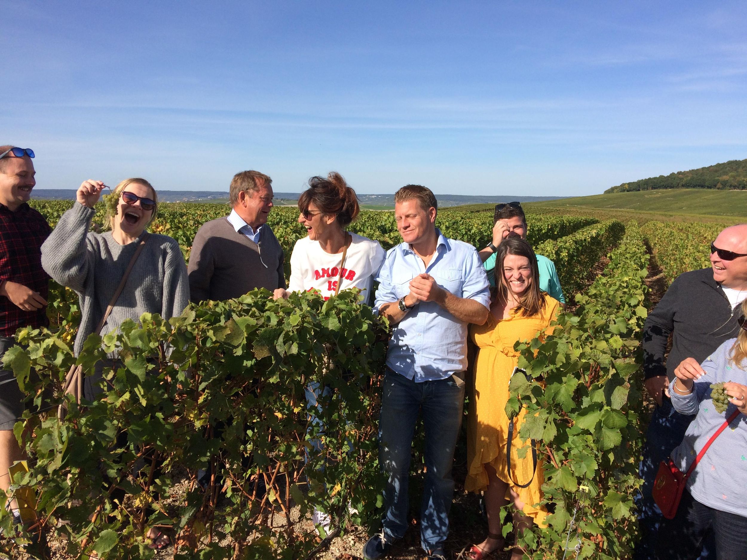 Ab Reims/Epernay: Halbtagestour durch die Champagne (Kleingruppentour)