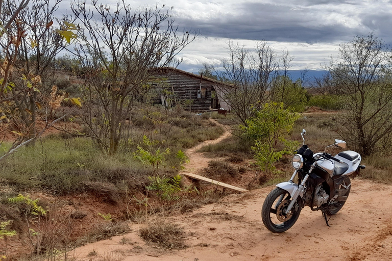 From Valencia: Hiking Tour of The Red Canyon of Teruel