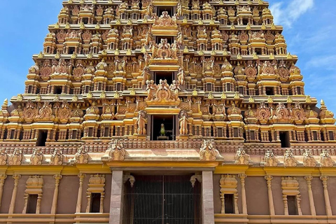 From Colombo: Jaffna Private Transfer with Scenic Stops