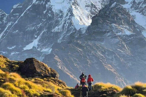 Pokhara: Mardi Himal 3-Days Panorama Trek