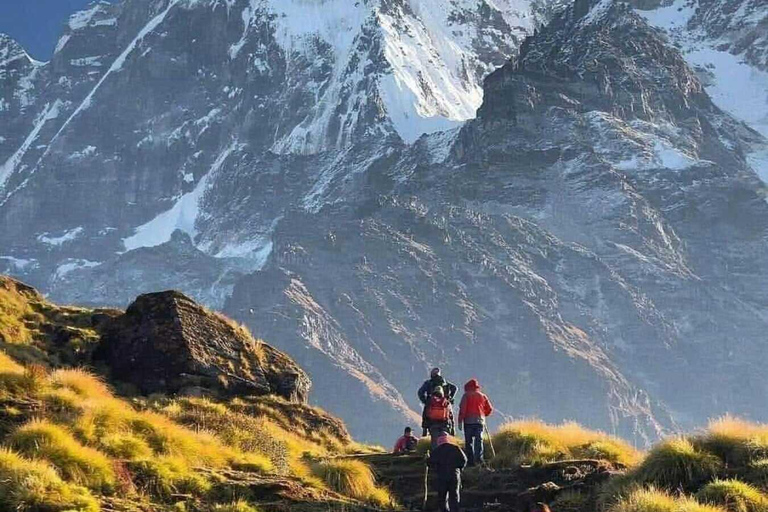Pokhara: Mardi Himal 3-Days Panorama Trek