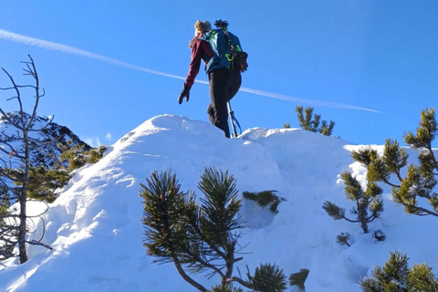 Brasov: Carpathians Trail Running Tour with Guide