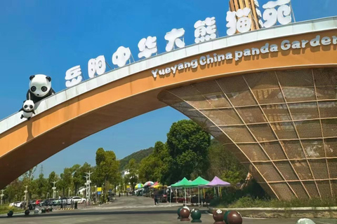 Yueyang: Giant Panda Garden Skip-the-Line Ticket