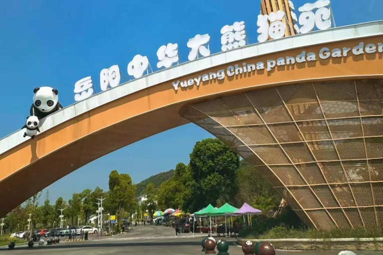Yueyang: Giant Panda Garden Skip-the-Line Ticket