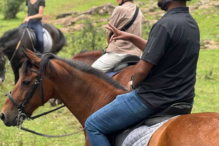 Addis Ababa: Mount Entoto Hike, Injera & Hyena Experience