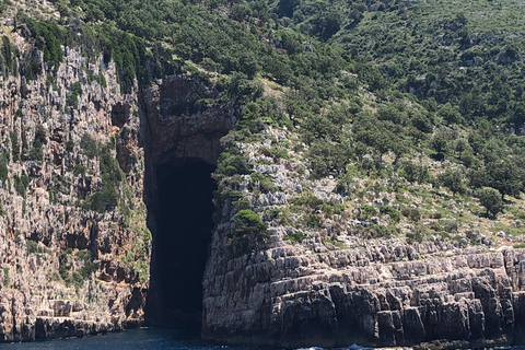 地拉那：含船游与历史讲解的三日导览之旅地拉那：3日导览之旅含乘船游览与历史讲解