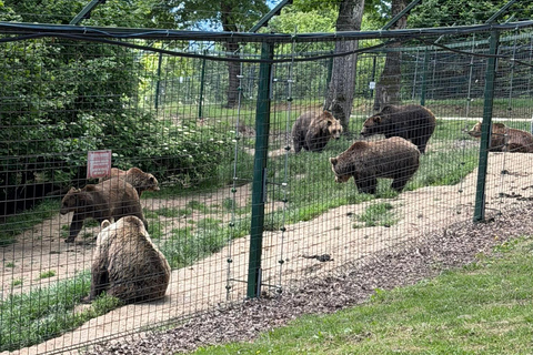 From Brasov: Bear Sanctuary & Slanic Salt Mine + Tickets Slănic Salt Mine Only