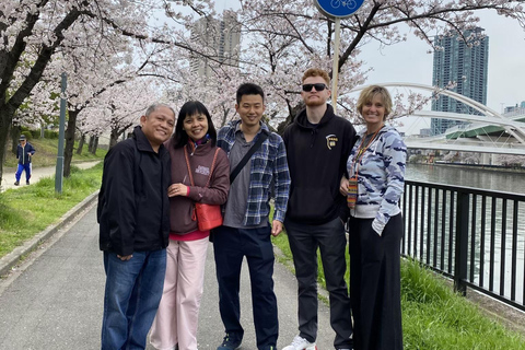 Osaka: Springtime Sakura Picnic "Hanami"