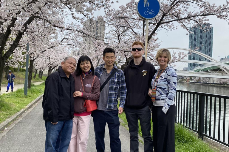 Osaka: Springtime Sakura Picnic "Hanami"