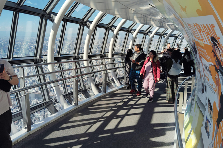 طوكيو جولة في 3 أبراج - إطلالة من السماء على المدينة