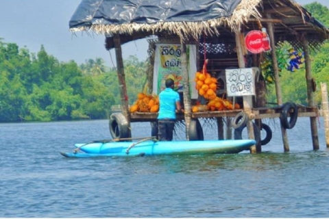 Z Kolombo: wycieczka safari po holenderskim forcie Galle i rzece Madu