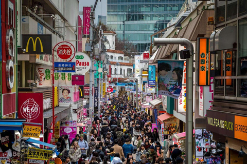 Tokyo: Private Customizable Tour with Driver-Guide