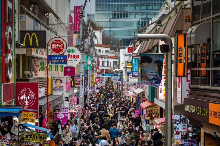 Tokyo: Private Customizable Tour with Driver-Guide