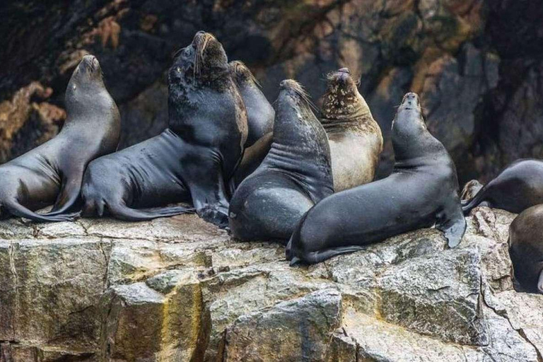 De Lima: Ica - Paracas - Nazca 3D/2N