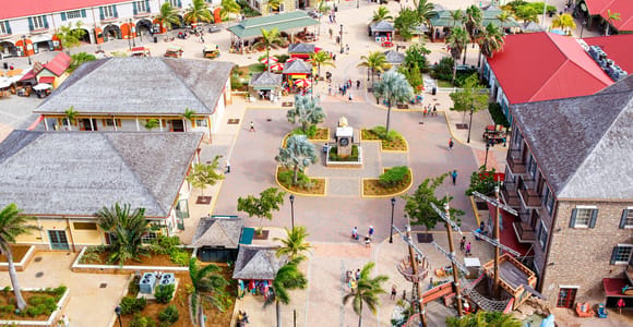 Falmouth Jamaica City Highlights & Historic Tour - Private