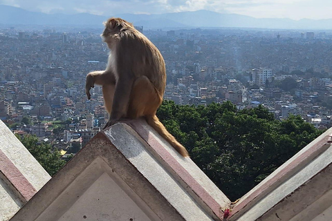 Kathmandu: Stadtführung mit 3 UNESCO-Welterbestät...