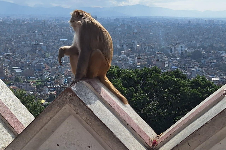 Kathmandu: Stadtführung mit 3 UNESCO-Welterbestät...