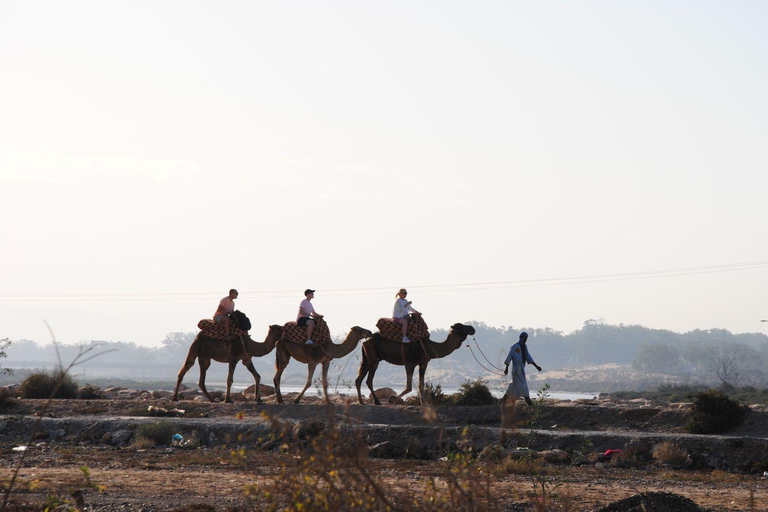 Agadir: cena marocchina con spettacolo e prelievo in hotelAgadir: spettacolo con cena marocchina e prelievo in hotel