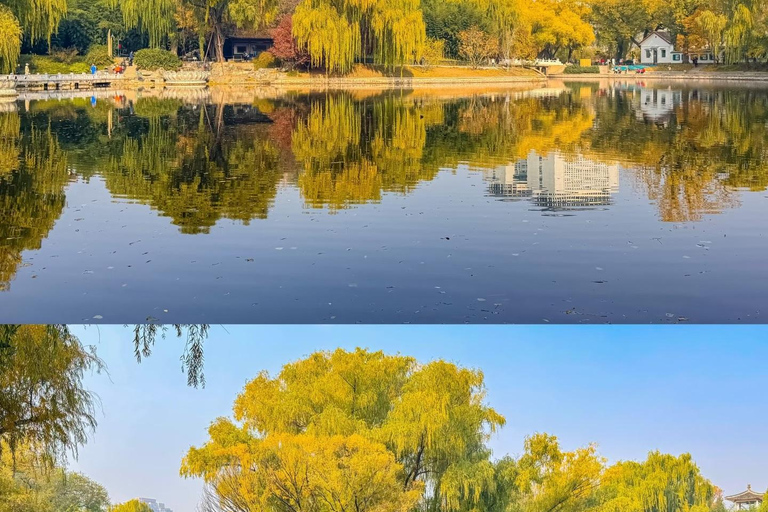 Pekin: botaniczna wycieczka po Parku Purpurowego Bambusa z ExpertGuidesWycieczka botaniczna po Purple Bamboo Park z przewodnikami