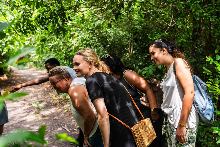 Visite guidée de Nakupenda, de l&#039;île-prison et de la forêt de Jozani