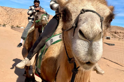 Las Vegas: Desert Camel Ride