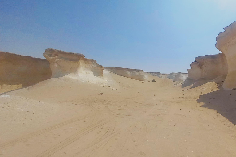 Doha: West Coast Qatar Tour, Sculptures, Camel Racing track From Doha Premium West Qatar Tour