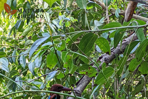Mirissa: Cinnamon Garden Tour with Peeling Class