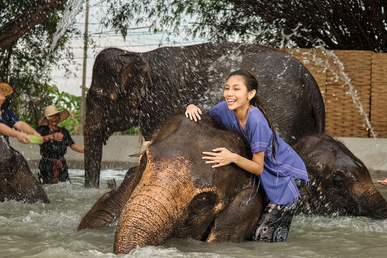 Bangkok Elephant Park: Meio dia de cuidados com elefantesHD Elephant Care com serviço de busca no hotel e traslado de ida e volta (particular)