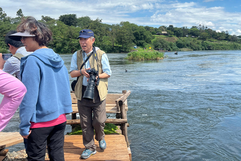 Mabamba Swamp shoebill and birding tour (Female led) Mabamba Swamp shoebill and birding tour(Female led)