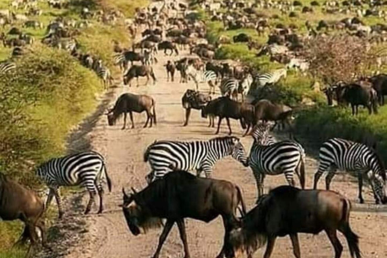 Safari Privado de 6 Días de Turismo Cultural y de Fauna Salvaje