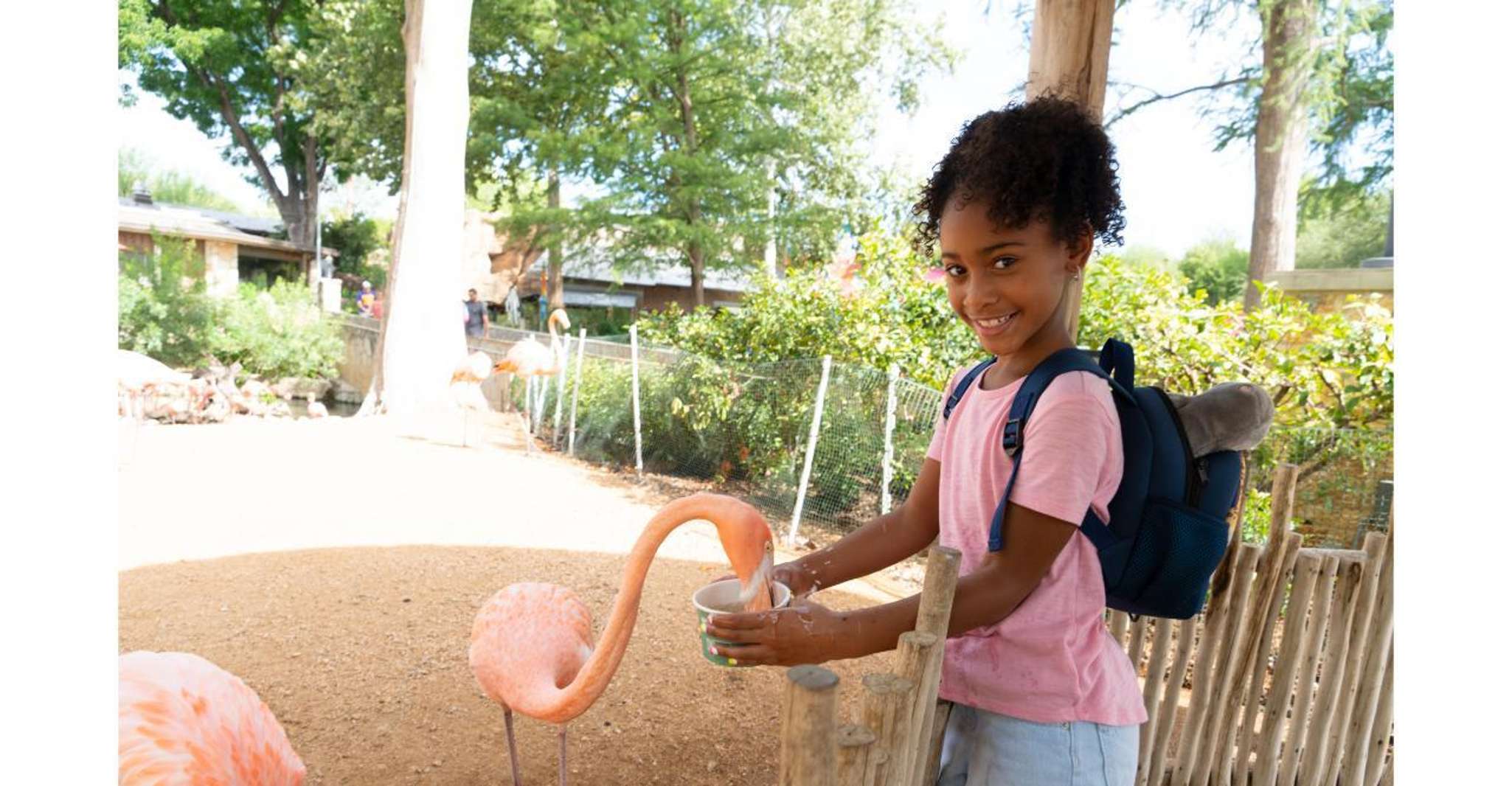 San Antonio Zoo Any Day Ticket photo 11