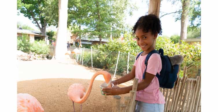 San Antonio Zoo Any Day Ticket photo 11