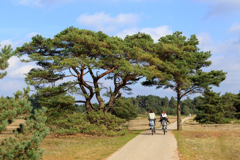 From Amsterdam: De Hoge Veluwe & De Haar Castle Day Trip