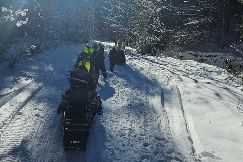 ATV or Snowmobile Mountain Tour from Bucharest