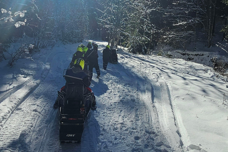 ATV or Snowmobile Mountain Tour from Bucharest