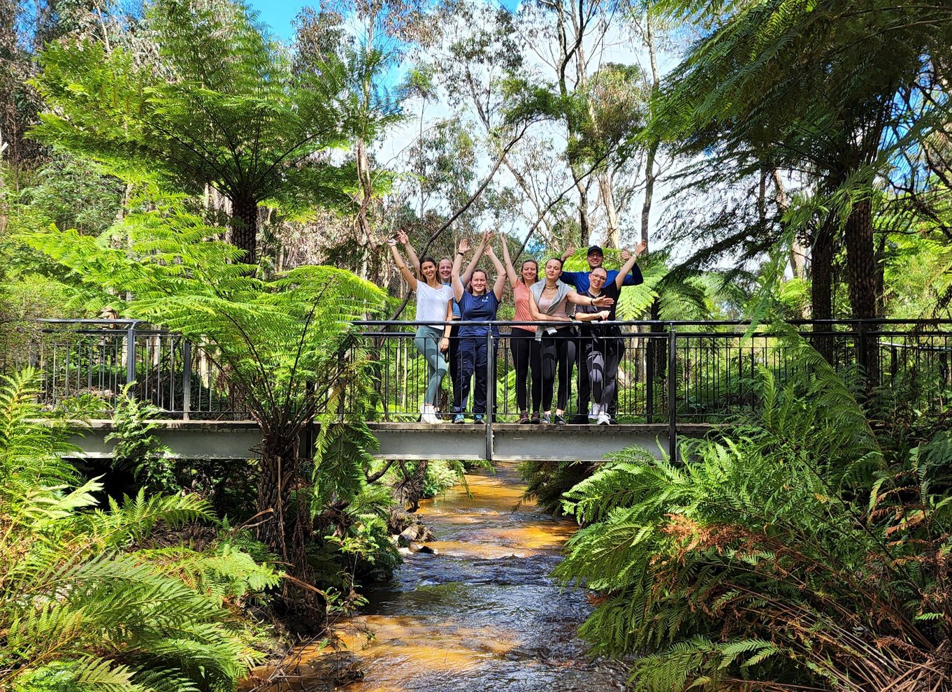 Fra Sydney: Blue Mountains-tur med vandfaldsvandring og frokost