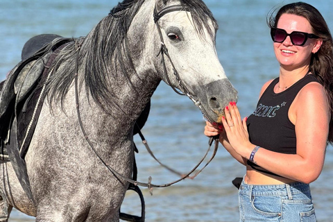 الغردقة: جولة ركوب الخيل في الصحراء والبحر مع خيار السباحةجولة لمدة ساعتين لركوب الخيل بدون السباح